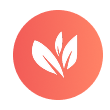 Allspice Icon